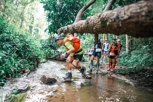 BIB: 
                            <button type="button" onclick="openModal(25375325)" class="btn btn-primary btn-sm float-right btn-popup" data-toggle="modal" data-target=".modal-high-quality">
                        <i class="fas fa-shopping-cart"></i> Add to Cart
                    </button>
                                            <button type="button" onclick="isThisMe(25375325, true)" class="btn btn-success btn-sm float-right btn-popup btn-isme hidden" data-toggle="tooltip" data-placement="bottom" title="นี่คือรูปของคุณใช่ไหม คลิกที่นี่เพื่อเอาเข้าอัลบั้ม">
                        <i class="fas fa-plus"></i> Add to album
                    </button>
                    <button type="button" onclick="isThisMe(25375325, false)" class="btn btn-warning btn-sm float-right btn-popup btn-isnotme hidden">
                        <i class="fas fa-ban"></i> Remove from album
                    </button>